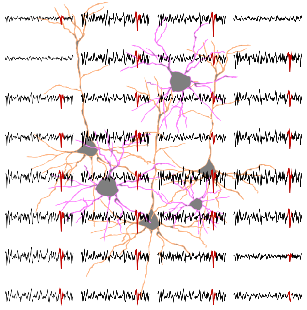 Example traces of neural recordings over a background of artistically drawn neurons